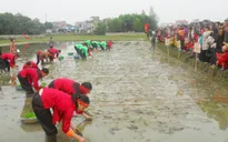 Thái Nguyên: Người dân nô nức mở hội xuống đồng