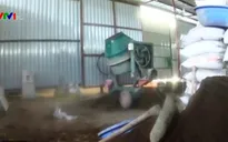 Đột nhập xưởng sản xuất phân bón giả