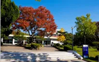 Hà Nam hợp tác giáo dục với trường Đại học Yeung Nam (Hàn Quốc)