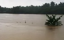 Mưa lớn, lũ trên các sông ở Bắc Bộ lên nhanh