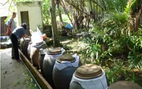 Ghi nhận 10 ca tử vong do sốt xuất huyết trong cả nước