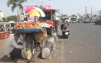 Ấn Độ: Hơn 200 người tử vong do nắng nóng trên 40 độ C