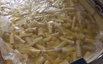 Bắt 35 tấn măng bốc mùi hôi, có giòi ở Nghệ An