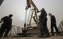 Kuwait đình công lớn, giá dầu thế giới mong manh giữ giá