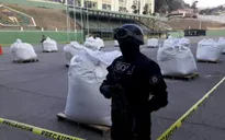 Bolivia thu giữ hơn 7 tấn cocaine được vận chuyển đến Mỹ