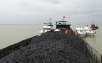 Tạm giữ tàu chở than không có giấy tờ hợp pháp