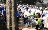 Hưởng ứng ngày môi trường thế giới: Hà Nội phấn đấu có một triệu cây xanh vào năm 2020