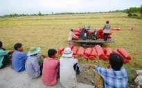 Đưa 1.000 kỹ sư trẻ về làm giám đốc HTX nông nghiệp