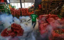 Ba trường hợp nhiễm virus Zika tại Việt Nam mang tính đơn lẻ