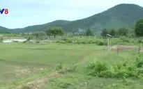 Dai dẳng tình trạng phá rừng làm rẫy sau dự án thủy điện