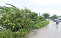 Rút kinh nghiệm từ bão số 1, chủ động ứng phó bão số 2