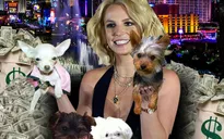 Britney Spears chi 8 triệu USD cho… chó, massage