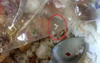 Hủy hợp đồng quán cơm có giòi ở KTX ĐH Quốc gia TP.HCM
