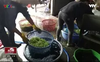 Đồng Nai: Bắt quả tang cơ sở sử dụng hóa chất ngâm rau muống bào