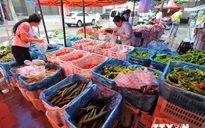 Xăng giảm giá, giá hàng hóa vẫn “đứng yên”