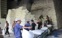 Xuất khẩu nông, lâm, thủy sản tăng trở lại
