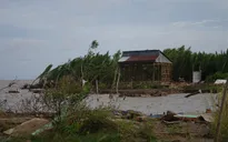 Báo động tình trạng sạt lở ven biển tại Đồng bằng sông Cửu Long