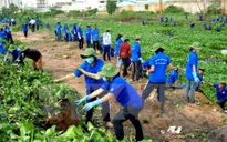 Nhiều hoạt động trong Tháng hành động vì môi trường