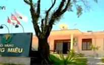 Ngân hàng Việt Á bảo lãnh nợ thuế cho công ty vàng Phước Sơn