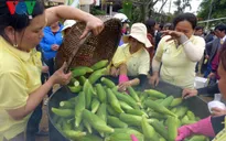 Lễ hội đầu xuân ở Quảng Nam: Tôn nghiêm và yên bình