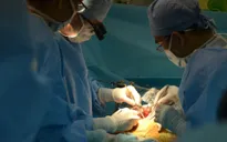 TP.HCM thực hiện thành công ca ghép gan trẻ em lần thứ 10
