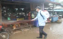 Hỗ trợ vaccine cho 3 tỉnh phòng chống dịch bệnh
