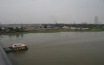 TP.HCM: Nước bị nhiễm mặn, không thể dùng tưới cây ở Thủ Thiêm