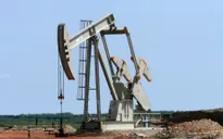 Giá dầu giảm xuống mức thấp nhất trong 12 năm