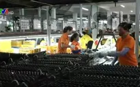 Gần 5.000 dòng thuế nhập khẩu sắp về 0%
