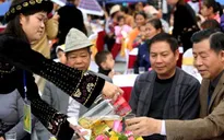 Khai mạc lễ hội trà hoa vàng tại Quảng Ninh