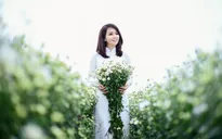 Mai Thu Huyền đẹp dịu dàng giữa vườn cúc họa mi