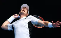 Vòng 2 Australian Open 2016: Murray dễ dàng đi tiếp