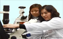 Nhà khoa học nữ đem lại ánh sáng cho bệnh nhân