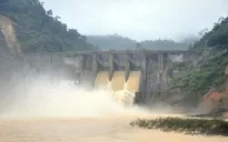 Thủy điện Hố Hô bị phạt hơn 100 triệu đồng