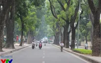 Hà Nội lọt top 10 điểm đến được yêu thích nhất năm 2016 của TripAdvisor
