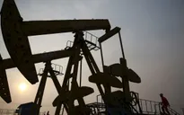 Chuyên gia nhận định OPEC sẽ không giảm sản lượng trong nửa đầu năm 2016