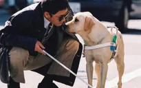 Chó dẫn đường đồng hành cùng người khiếm thị Úc