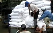Hỗ trợ gần 3.900 tấn gạo cho tỉnh Tuyên Quang, Nghệ An