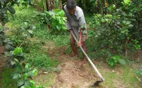 Người đàn ông ở Quảng Nam gần nửa thế kỷ... không ngủ