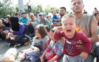 Serbia: Người tị nạn tuyệt thực đòi mở cửa biên giới với Hungary
