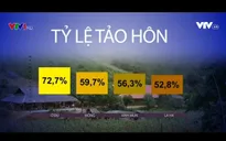 Giải pháp nào cho tình trạng tảo hôn và hôn nhân cận huyết thống?