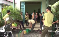 Khánh Hòa: Phát hiện vụ mua bán số lượng lớn động vật hoang dã