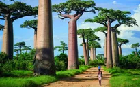 Ngỡ ngàng với những điểm đến thiên đường có thực trên Trái Đất