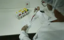 Phát hiện hoạt chất kháng virus Zika