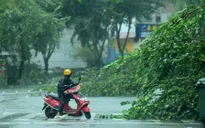 Bão Sarika đổ bộ miền Nam Trung Quốc