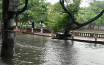 Mưa gió cực mạnh, Hà Nội ngập úng, cây đổ ngổn ngang