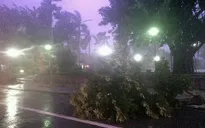 Bão số 1 đổ bộ vào đất liền gây mưa lớn, ngập lụt nhiều nơi