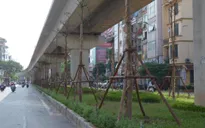 "Trồng cây dưới đường sắt trên cao nhiều nước đã làm và là chuyện bình thường"
