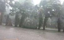 Nam Trung Bộ tiếp tục mưa lớn trên diện rộng