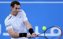 Andy Murray thất bại trong trận đấu cuối cùng của năm 2016
